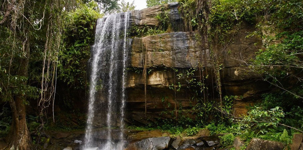 shimba hills excursion